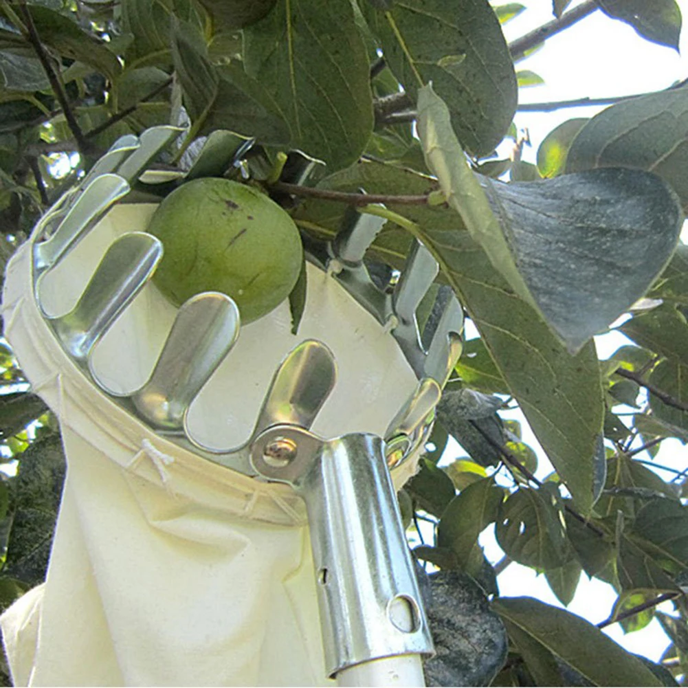 Полезное устройство для сбора фруктов, яблоко, апельсин, персик, груша, практичное устройство для сбора инструментов в саду