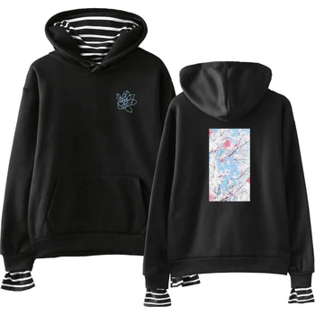 

SHAWN MENDES hoodies Print Fake Two Pieces Hoodies 2019 Hot Sale Autumn Women Sweatshirts K-pops hooded Harajuku Plus Size 4XL