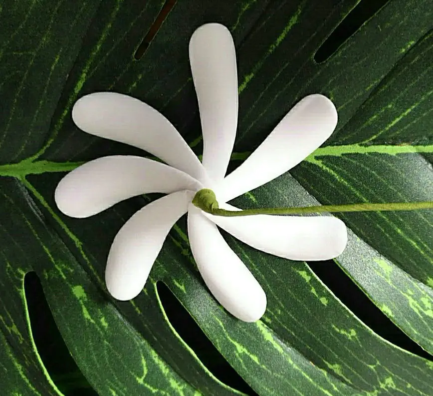 F114-5 WHITE