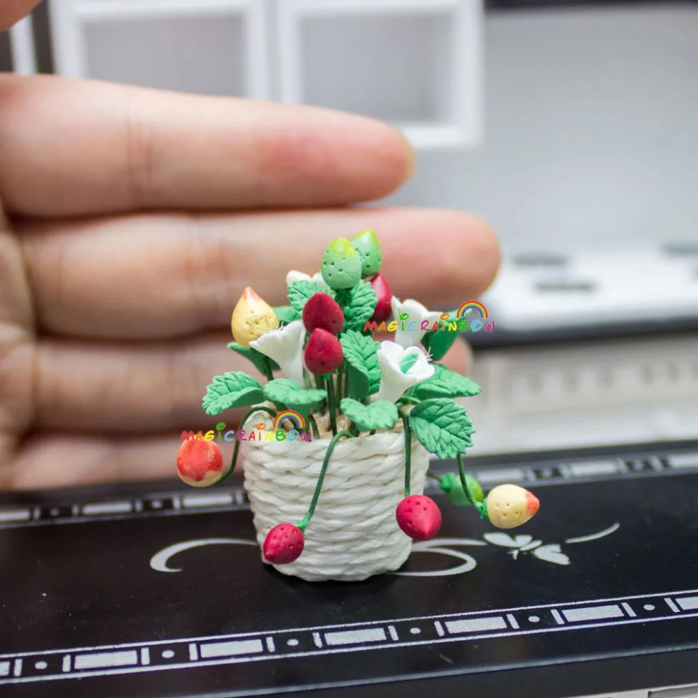 m_OP008 potted strawberry (1)