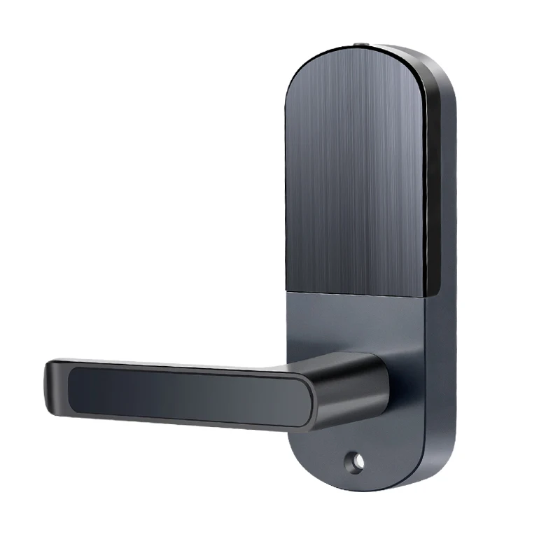 Бесключевой биометрический дверной замок с отпечатком пальца водонепроницаемый электронный дверной замок WiFi приложение Смарт-код карты RFID дверной замок