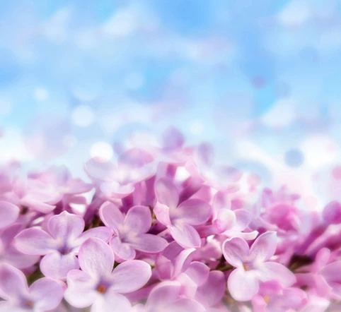 8x8ft Light Blue Sky Pink Floral Flowers Newborn Baby Kids Custom Photography Backgrounds Studio Backdrops Vinyl 10x10 10x12 Backdrop Vinyl Studio Backdropphotography Background Aliexpress