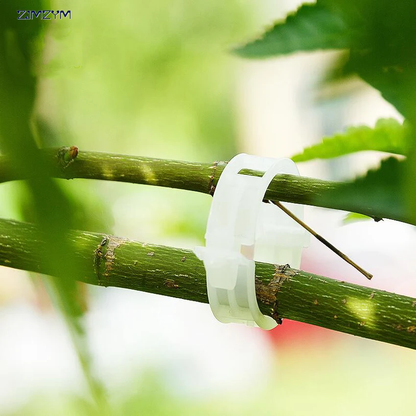 10 stk / set nieuwe kwaliteit duurzaam plastic plant clips sluiting plant wijnstokken tomaat moestuin tool