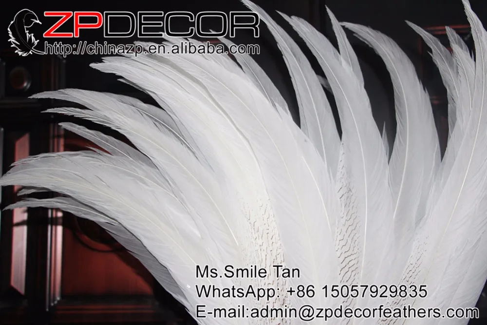 Розничная и оптовая продажа от ZPDECOR 29 30 дюймов (75 80 см) 20 шт./лот отбеленные белые