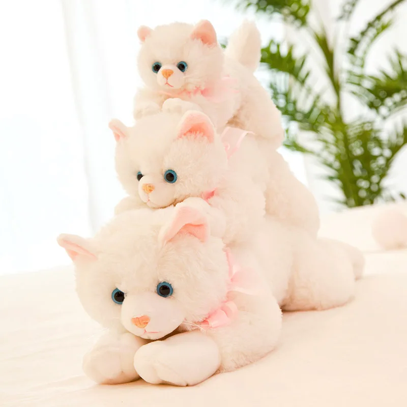 toy stuffed kittens