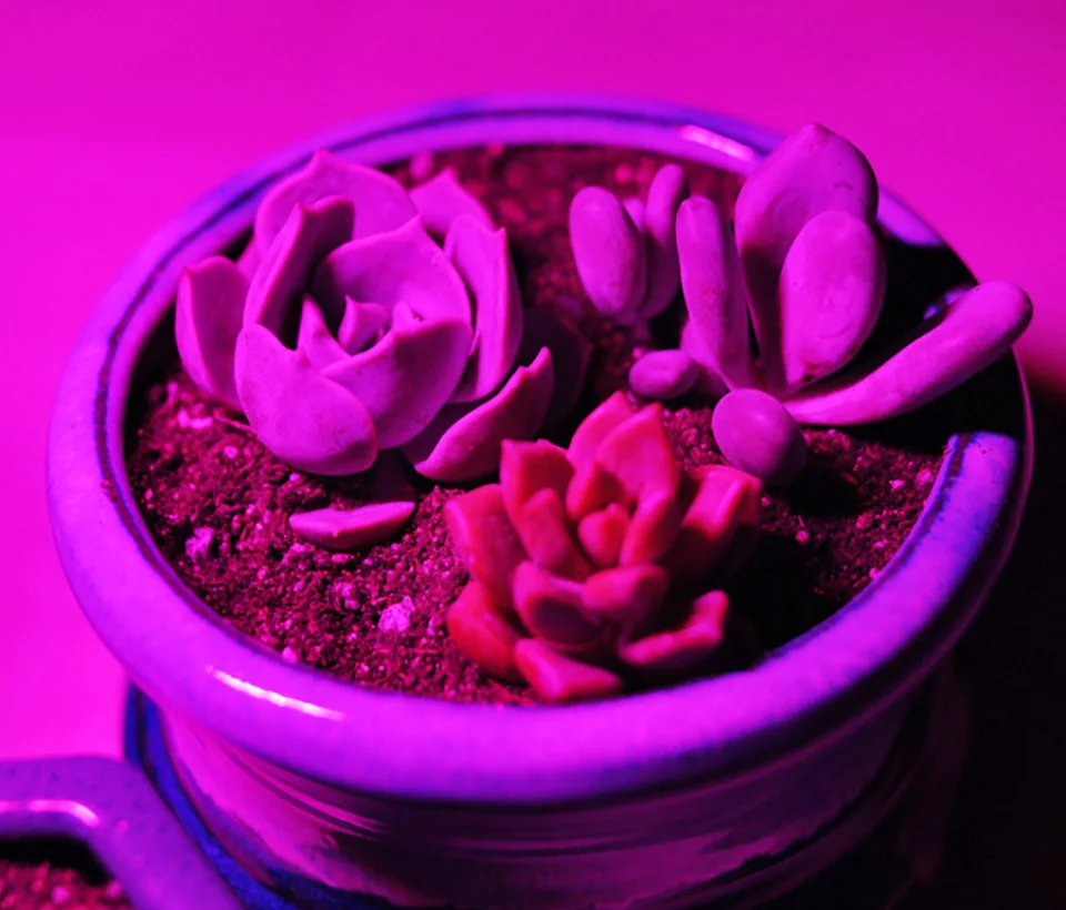 TIM图片20190626113322