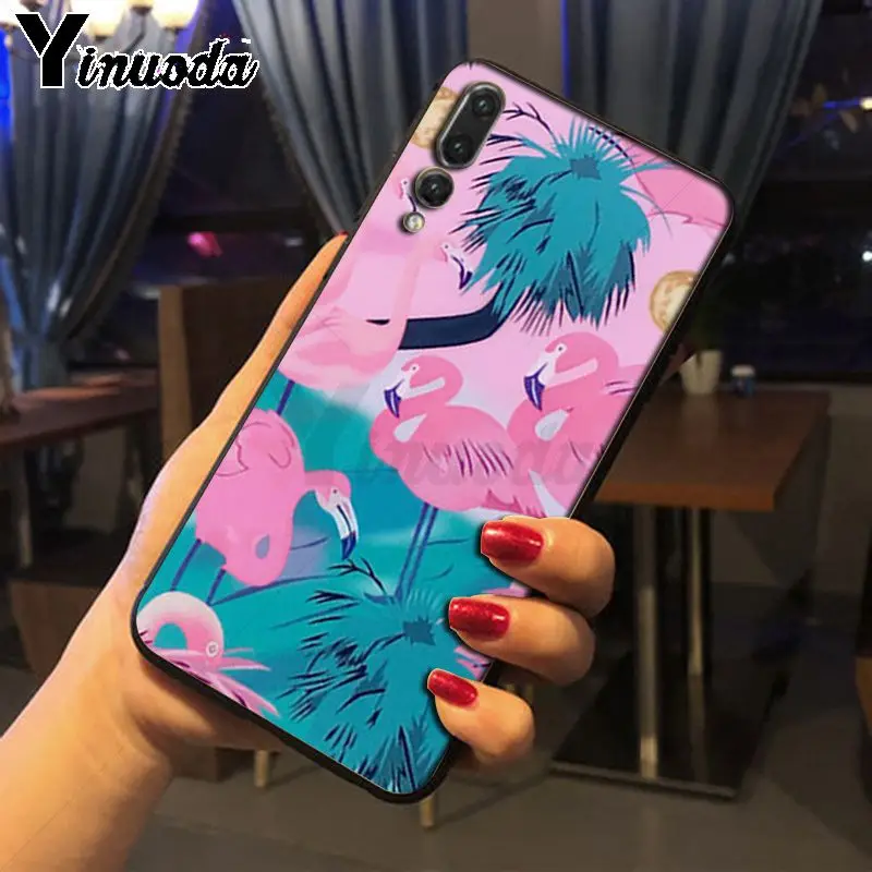 Colorful Flamingo