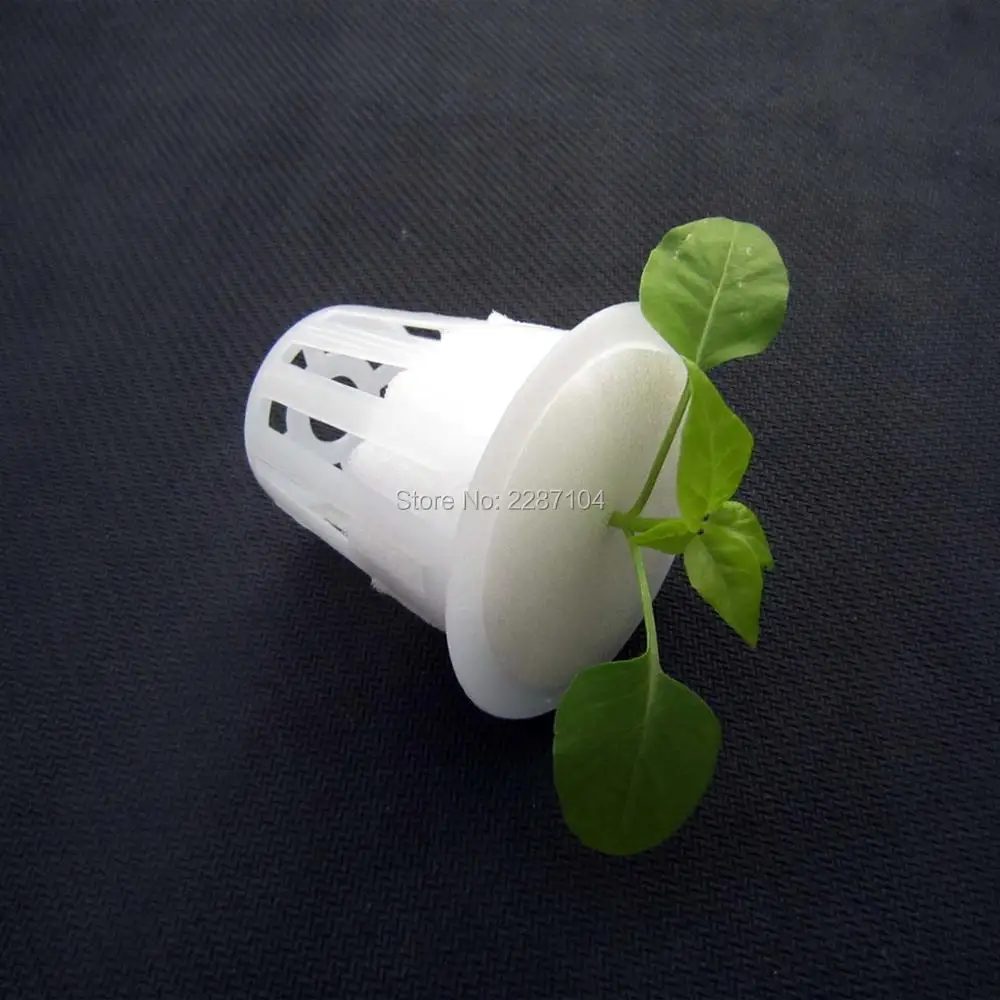 25/100pcs White Clone Cloning Collar Foam Insert Hydroponic Plant Vegetable Root Guard Seed Germinate For Mesh Pot 5 sizes