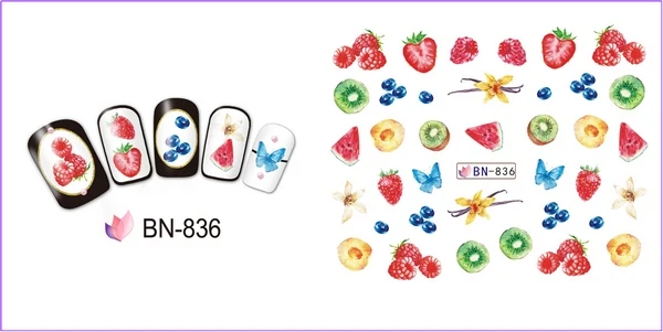 BN-836