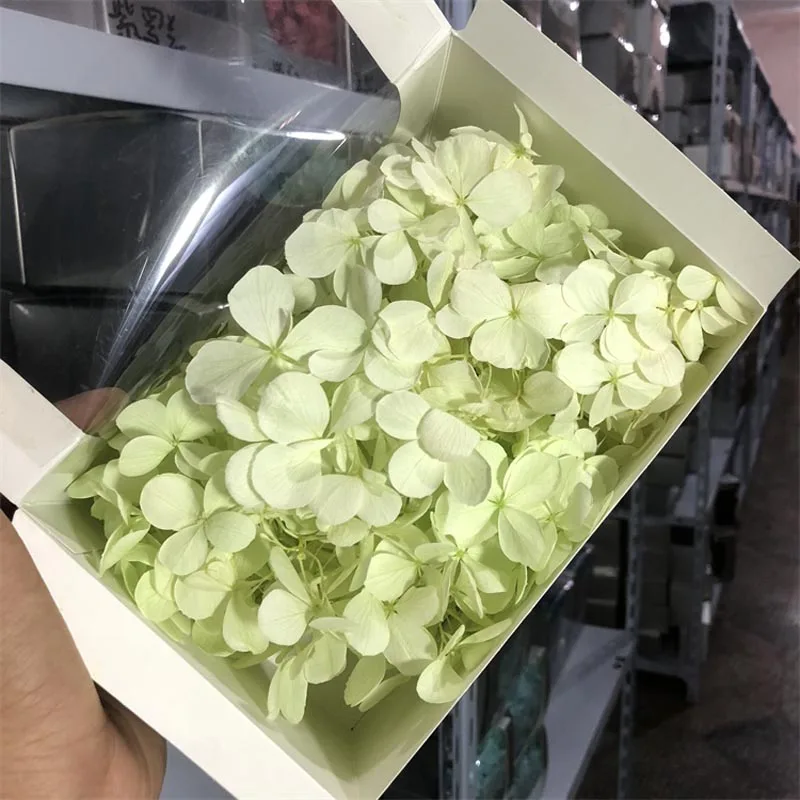 9boxes,Long Time Lasting Natural Fresh Preserved Flowers Dried Hydrangea Flower Head For IY Real Eternal Life Flowers Material