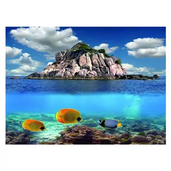 

9045 19.3" x 48" Double Sided Aquarium Decoration Picture Poster Waterscape / Three Fishes Fish Tank Background