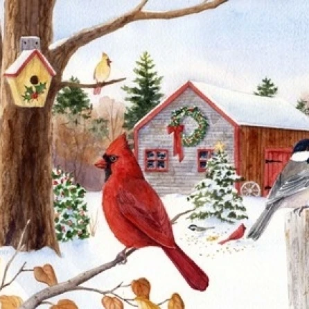 Cardinal  Chickadee & Christmas Barn Poster Print by Maureen Mccarthy (20 x 16)