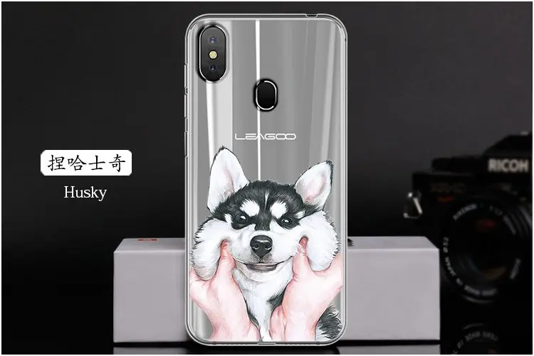  Husky