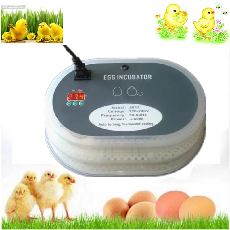 

Best Price 12 eggs mini home poultry incubator electric digital temperature control for chicken eggs brooder hatcher machine