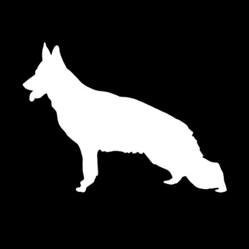 HTB15i.rMVXXXXczXFXXq6xXFXXX5
