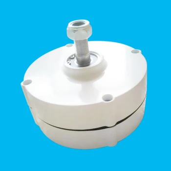 

Hot sale 100w PMG 12v or 24v optional alternator with good quality in China