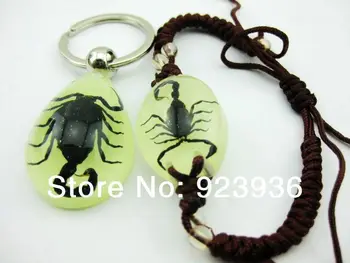 

6 pieces/lot SET Hot SaleReal Black Scorpion Resin Bracelet Bangle Keychain Trendy Glow In Dark Party Gift Present YY001