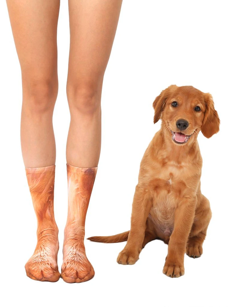 golden-retreiver-dog_1024x1024