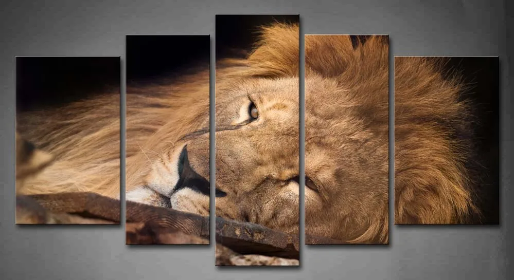 

Framed Wall Art Pictures Lion Picture Canvas Print Artwork Animal Modern Posters With Wooden Frames For Living Room