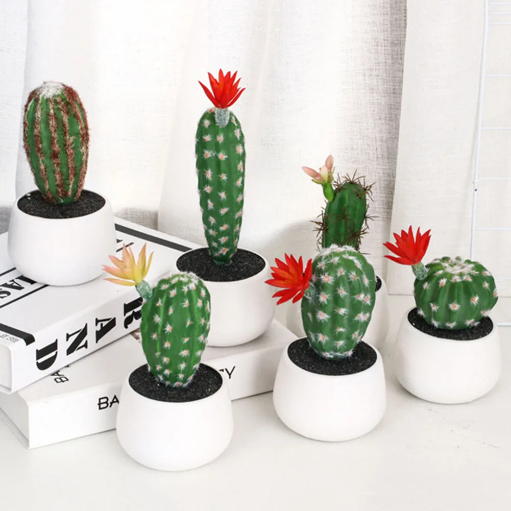 Мини Кактусы В Горшках Купить