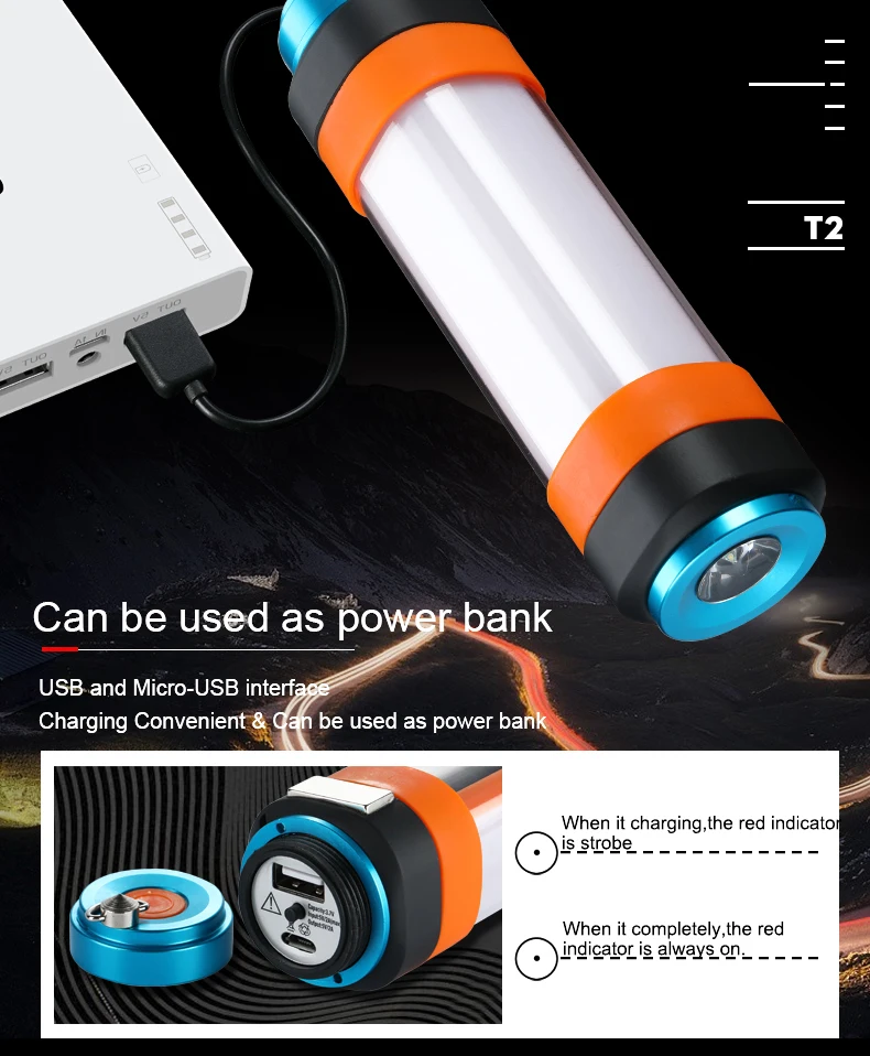 T2_01 (8)