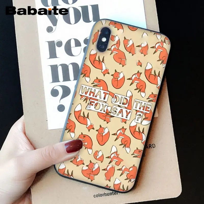 Animal More Cute Fox cat