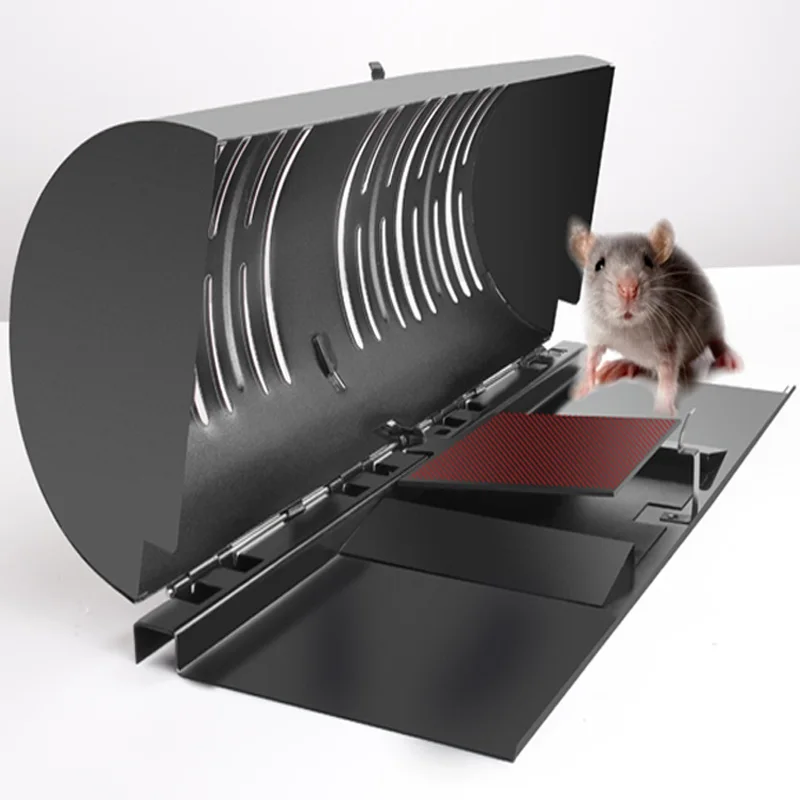 mouse trap (1)