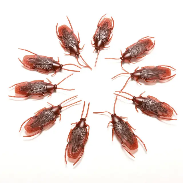 plastic toy cockroaches