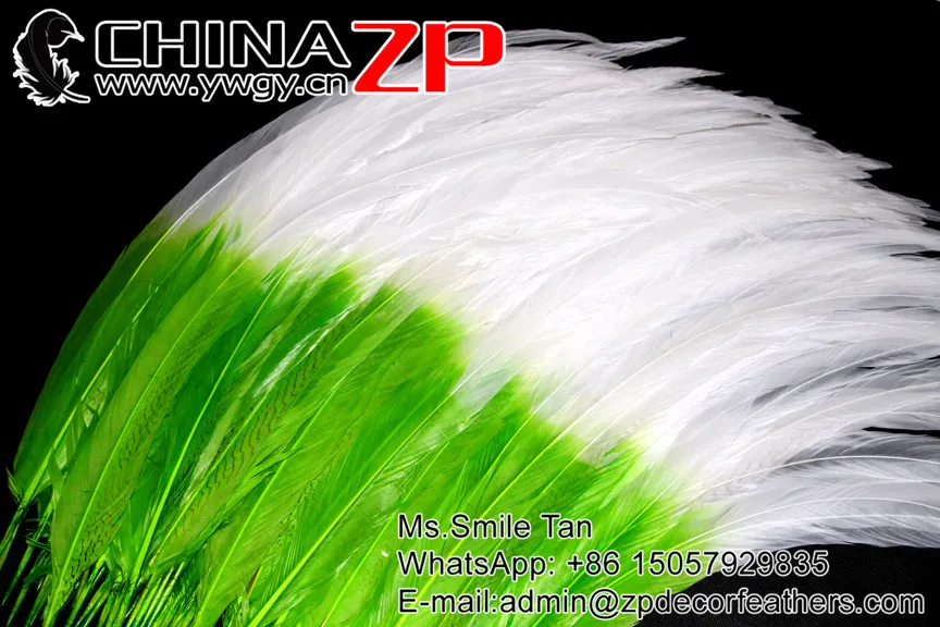 65~70cm green with white tip dould color silver pheasant feather  (3)