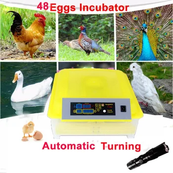 

Automatic Egg Incubator 48 Eggs Digital Clear Egg Turning Temperature Control Egg Hatcher Brooder Chicken Farm Hatchery Machine