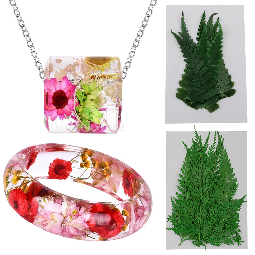 22 Pieces Pressed Fern Leaves Natural Dried Flowers DIY Scrapbooking Crafts