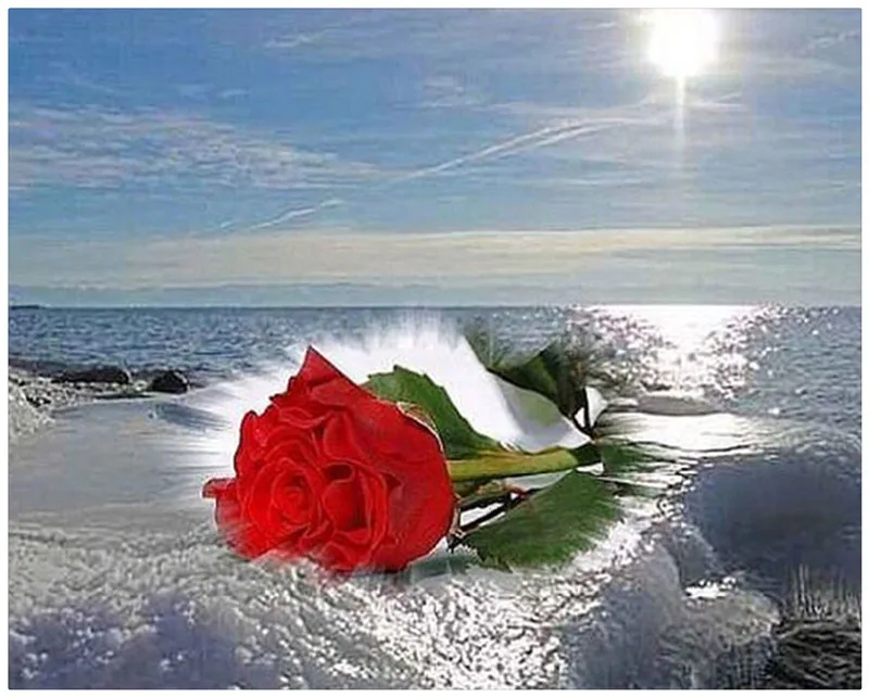 Diy diamond painting Sea rose full diamond cross stitch