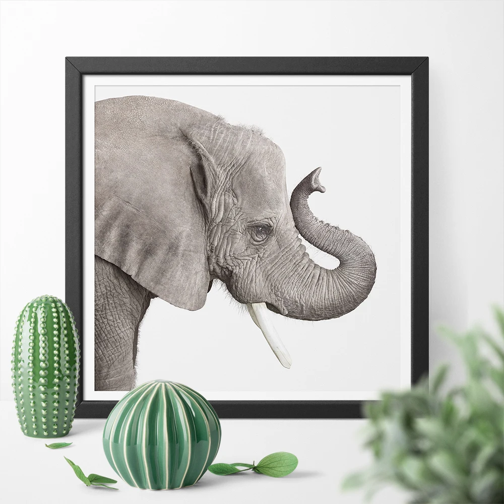 слоники постеры для интерьера. коврик для мыши vs фауна. постер черно белый слон. постер со слонами. слон на черном фоне.