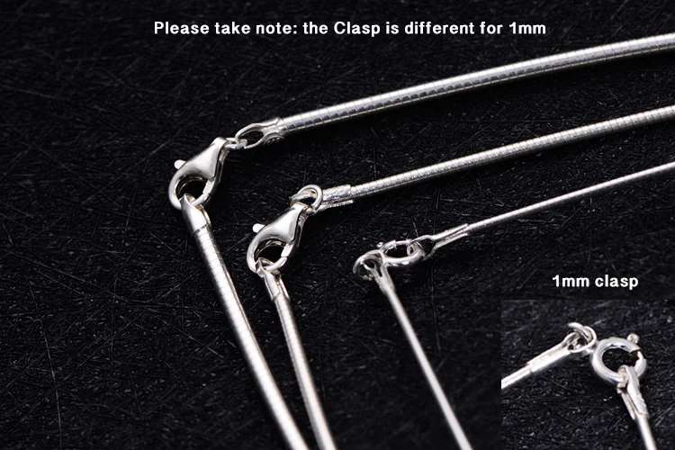 8556419668_1477970965