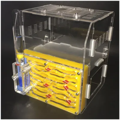 

Thick Ants Nest Villas Workshop Ant Acrylic Farm Ants Castle Insect Cages Students Scientific Device Toy Educational DIY Toy M1H