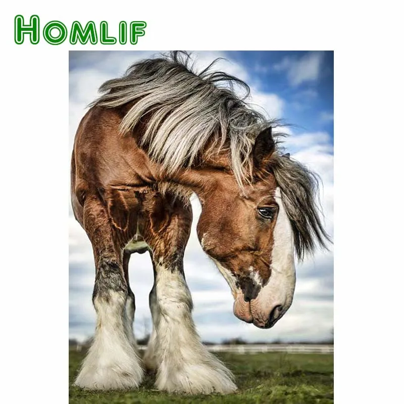 HOMLIF 5d алмазная живопись лошади с лошадью клайдсдейл стразы полноразмерная