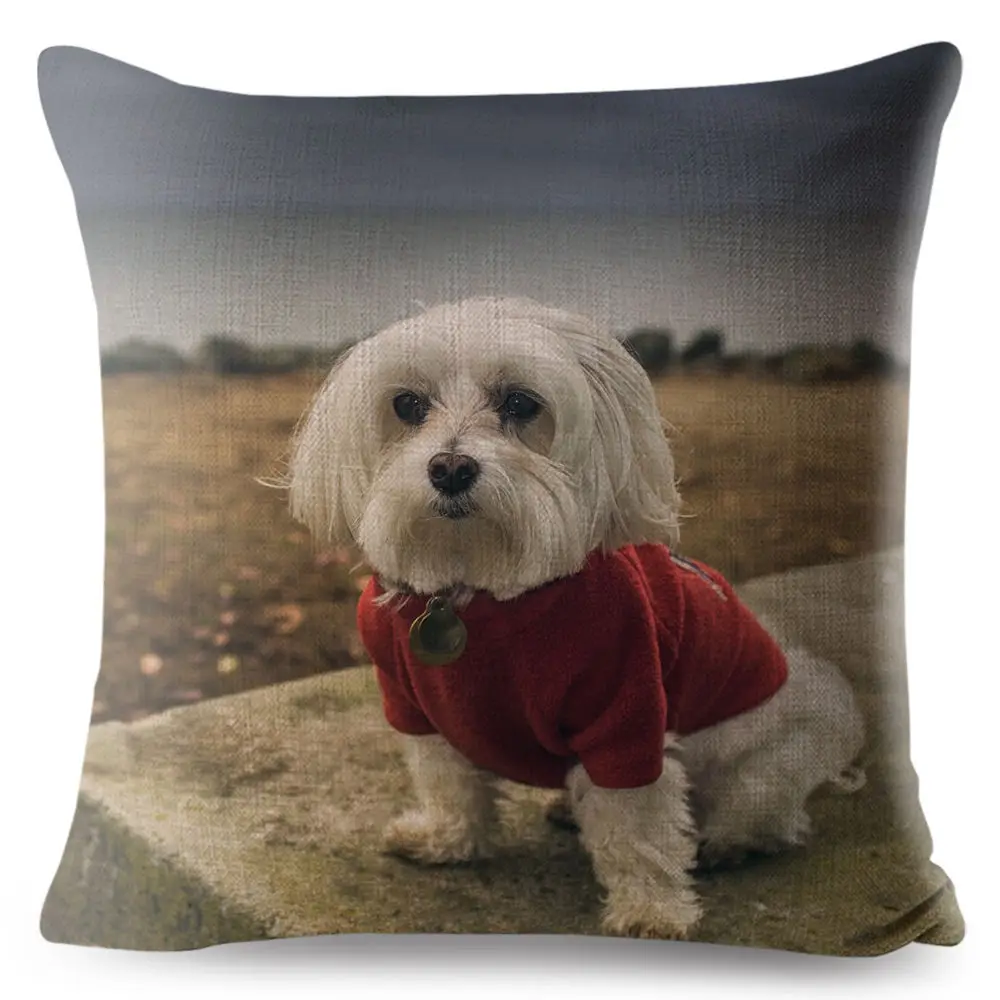 Cute Animal Pet Maltese Dog Pillow Cover Linen Cushion Covers 45*45cm Square Pillow Case Sofa Car Home Decoration Pillowcase