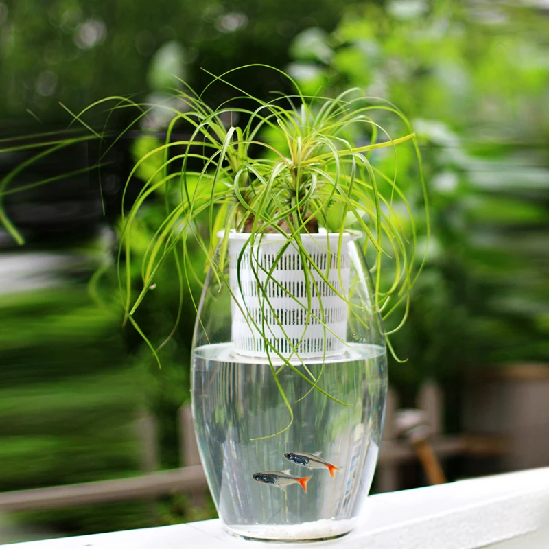 Lot De 3 Pots De Fleurs Transparents À Fentes Hautes, Pot De Fleur