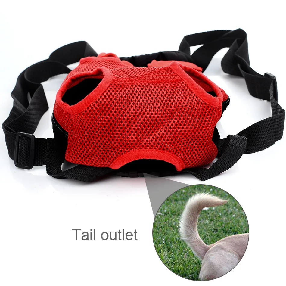 carrier for dogs cat