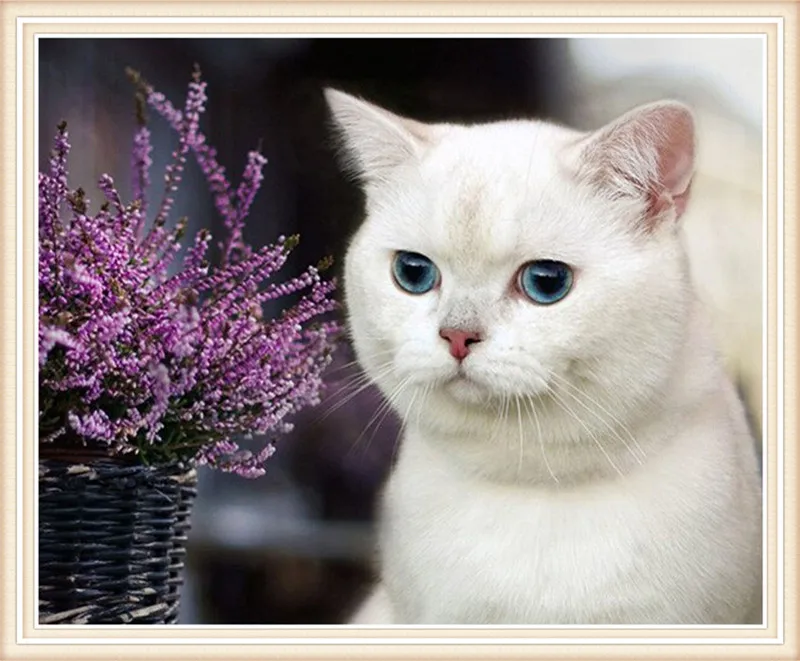 

Christmas white cats Picture cube drill Cross Stitch Rhinestone Diy Diamond Paintings Embroidery needlework diamond painting