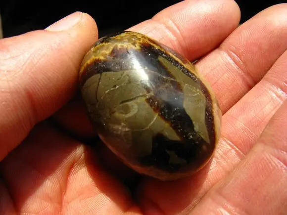 

40g RARE NATURAL Dragon Septarian CRYSTAL GEM STONE freeform free shipping