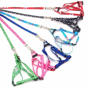 

10 Colors Easy Adjustable Colored Print Rope Small Pet Dog Cat Rope Collars and Lead Leash Harness Chest Strap Pets Products