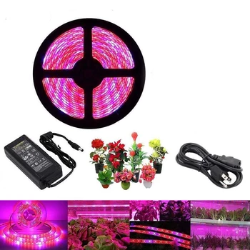 

5m Full Spectrum Led Grow Light Red Blue Aquarium Led Growing Lamp For Hydroponics Flowers Plants Vegetables + power adapter