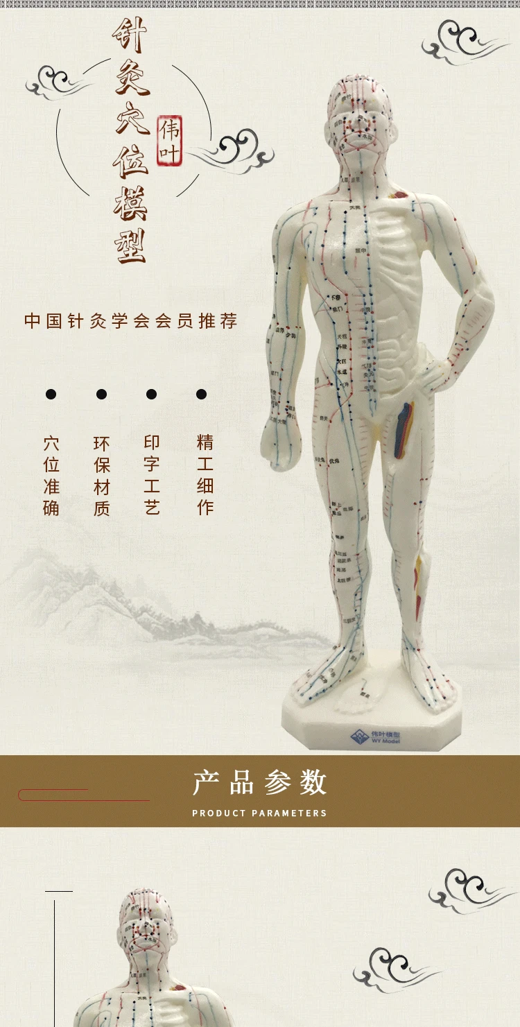 Китайская медицинская модель точки акупунктуры для человеческого тела, меридиановая модель акупунктурных точек для прижигания, модель манекена для акупунктуры