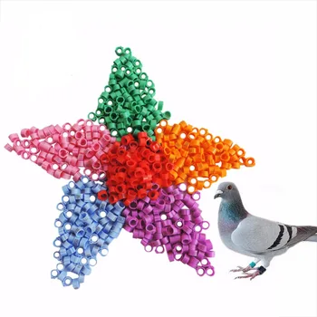 

No.1-100 Bird Pigeon Foot Rings Racing Pigeon Foot Rings 9 Colors Optional Parrot Pigeon Leg Supplies Bird Training Tools