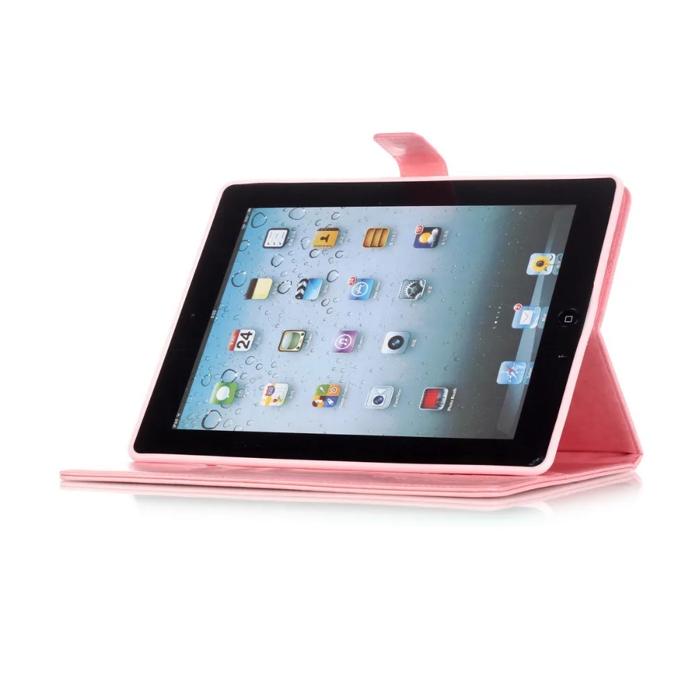 ipad234  (17)