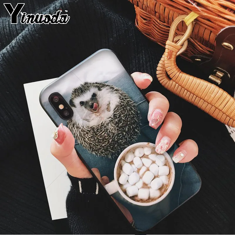 Hedgehog Cute in Teacup Animal Art