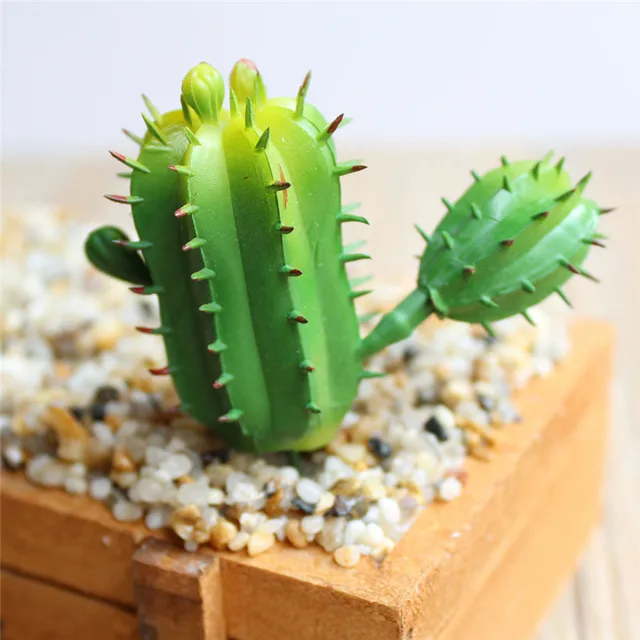 Kết quả hình ảnh cho xương rá»ng