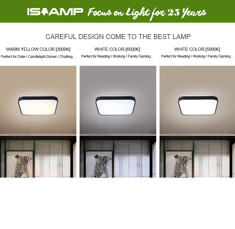 ceiling lighting (3)