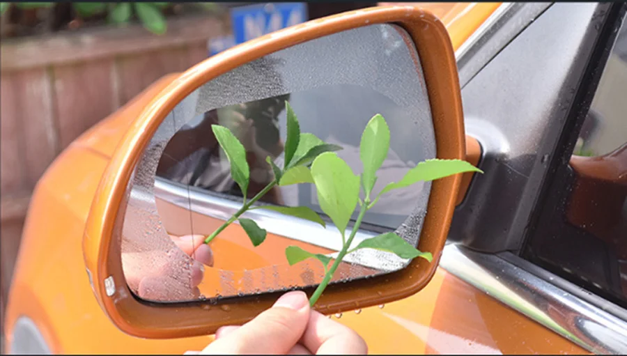 HTB10XtPX6DuK1Rjy1zjq6zraFXaz